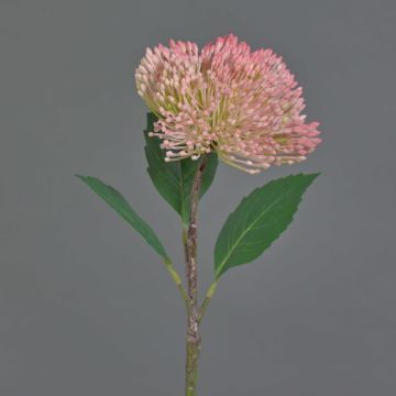 Fiore di sedum in plastica JICAMA, rosa, 45cm