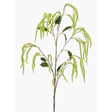 Ramo d'amaranto artificiale MAULE, verde, 100cm
