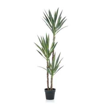 Yucca artificiale FRONTEIRA, 150cm