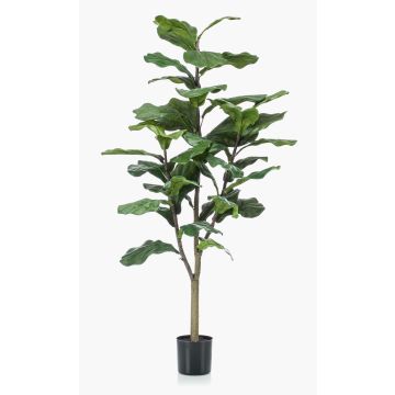 Ficus lyrata artificiale EUSEBI, tronco artificiale, verde, 120cm Ficus lyrata artificiale EUSEBI, tronco artificiale, verde, 120cm