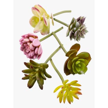 Succulente artificiali JADON, su stelo, 6 pezzi, multicolore, 13cm, Ø5cm, Ø5cm