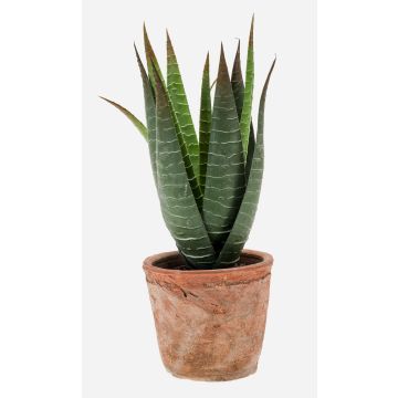 Aloe variegata artificiale MARTINEZ in vaso di terracotta, verde, 20cm, Ø17cm