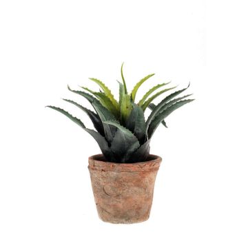 Agave di plastica SEDA in vaso di terracotta, verde, 20cm, Ø25cm