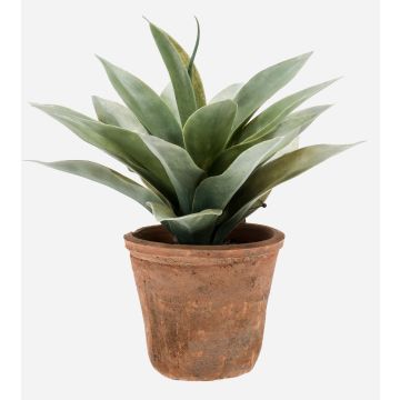 Agave di plastica DESIREE in vaso di terracotta, verde, 20cm, Ø25cm
