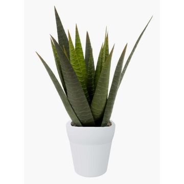 Aloe variegata artificiale MARTINEZ, vaso in ceramica, verde, 30cm, Ø17cm