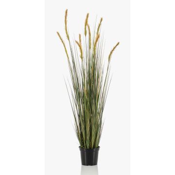 Erba di coda di volpe artificiale ANAELLA con pannocchie, verde, 120cm Erba di coda di volpe artificiale ANAELLA con pannocchie, verde, 120cm