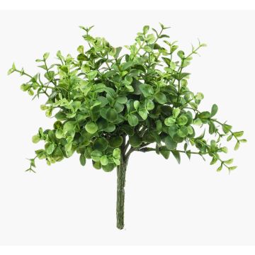 Eucalipto artificiale JOSHUA su stelo, verde, 20cm, Ø17cm Eucalipto artificiale JOSHUA su stelo, verde, 20cm, Ø17cm