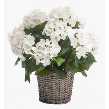 Ortensia artificiale JONE in cestino, bianco, 45cm Ortensia artificiale JONE in cestino, bianco, 45cm