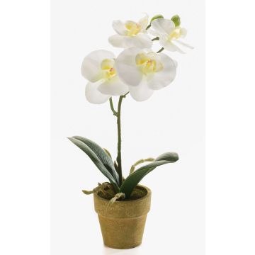 Orchidea phalaenopsis artificiale SETH in vaso decorativo, crema, 25cm