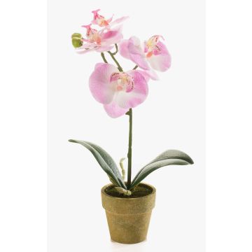 Orchidea phalaenopsis artificiale SETH in vaso decorativo, rosa, 25cm