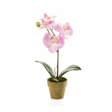 Orchidea phalaenopsis artificiale SETH in vaso decorativo, rosa, 25cm Orchidea phalaenopsis artificiale SETH in vaso decorativo, rosa, 25cm