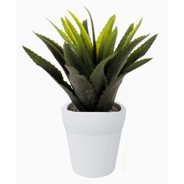 Agave di plastica SEDA in vaso di ceramica, verde, 25cm, Ø25cm Agave di plastica SEDA in vaso di ceramica, verde, 25cm, Ø25cm