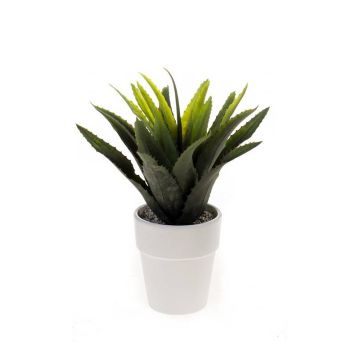 Agave di plastica SEDA in vaso di ceramica, verde, 25cm, Ø25cm