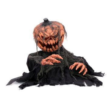 Zucca zombie per decorazione di Halloween ROVIGO, funzione suono, LED, 50cm Zucca zombie per decorazione di Halloween ROVIGO, funzione suono, LED, 50cm