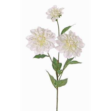 Dahlia artificiale ANJULIKA, bianco, 75cm, Ø6-12cm Dahlia artificiale ANJULIKA, bianco, 75cm, Ø6-12cm