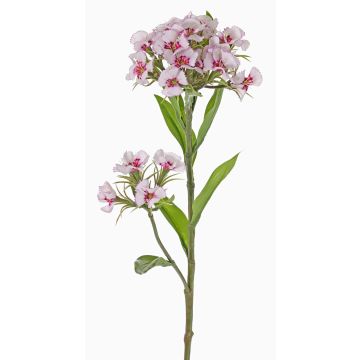 Garofano del poeta artificiale ARCHIE, crema-fucsia, 60cm, Ø8-14cm Garofano del poeta artificiale ARCHIE, crema-fucsia, 60cm, Ø8-14cm