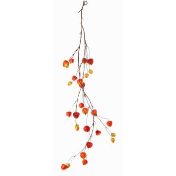 Ghirlanda di physalis artificiale PAX con frutti, rosso-arancione, 120cm Ghirlanda di physalis artificiale PAX con frutti, rosso-arancione, 120cm