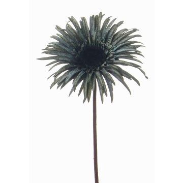 Gerbera artificiale SIEDA, blu-verde, 65cm, Ø12cm Gerbera artificiale SIEDA, blu-verde, 65cm, Ø12cm