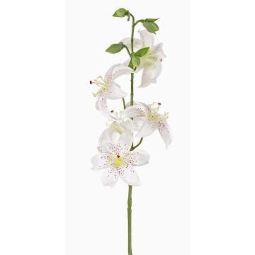 Giglio tigrato artificiale ASHANTI, bianco, 65cm, Ø8cm Giglio tigrato artificiale ASHANTI, bianco, 65cm, Ø8cm