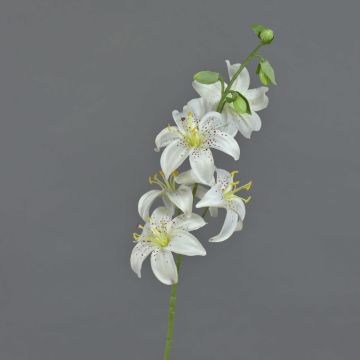 Giglio tigrato artificiale ASHANTI, bianco, 65cm, Ø8cm Giglio tigrato artificiale ASHANTI, bianco, 65cm, Ø8cm