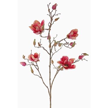 Magnolia artificiale LORA, fucsia-rosa, 110cm, Ø10-12cm Magnolia artificiale LORA, fucsia-rosa, 110cm, Ø10-12cm