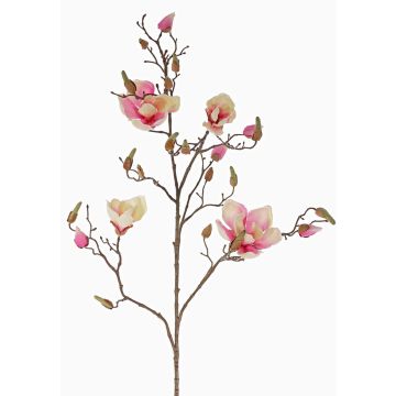 Magnolia artificiale LORA, crema-rosa, 110cm, Ø10-12cm