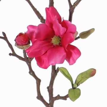 Magnolia artificiale MARGA, fucsia, 80cm, Ø7-8cm
