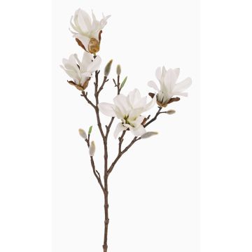 Magnolia stellata artificiale AZULA, bianco, 60cm, Ø9-11cm
