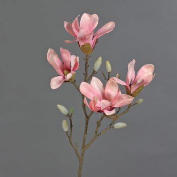 Magnolia stellata artificiale AZULA, rosa, 60cm, Ø7-9cm