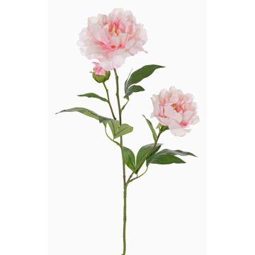 Peonia artificiale ONYX, crema-rosa, 70cm, Ø10-13cm Peonia artificiale ONYX, crema-rosa, 70cm, Ø10-13cm