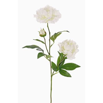 Peonia artificiale ONYX, bianco, 70cm, Ø10-13cm Peonia artificiale ONYX, bianco, 70cm, Ø10-13cm