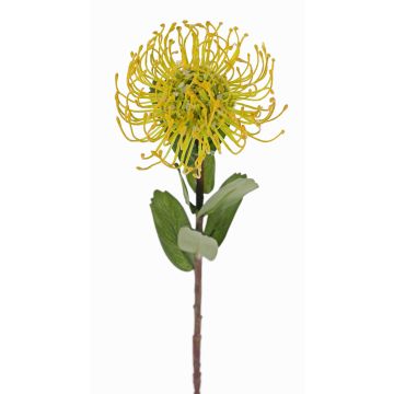 Protea artificiale BAILY, giallo, 50cm, Ø12cm Protea artificiale BAILY, giallo, 50cm, Ø12cm