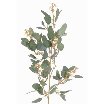Ramo di eucalipto artificiale COBAR con fiori, zona trasversale, verde, 65cm, Ø1,5cm Ramo di eucalipto artificiale COBAR con fiori, zona trasversale, verde, 65cm, Ø1,5cm