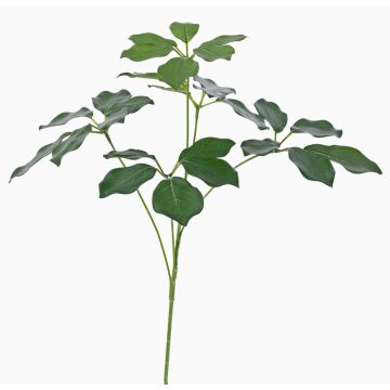 Ramo di schefflera artificiale CAPONE, zona trasversale, verde, 50cm