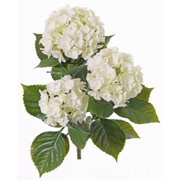 Ortensia artificiale SAIRA, stelo, zona trasversale, crema, 40cm, Ø11-13cm Ortensia artificiale SAIRA, stelo, zona trasversale, crema, 40cm, Ø11-13cm