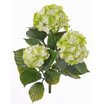 Ortensia artificiale SAIRA, stelo, zona trasversale, verde-crema, 40cm, Ø11-13cm Ortensia artificiale SAIRA, stelo, zona trasversale, verde-crema, 40cm, Ø11-13cm