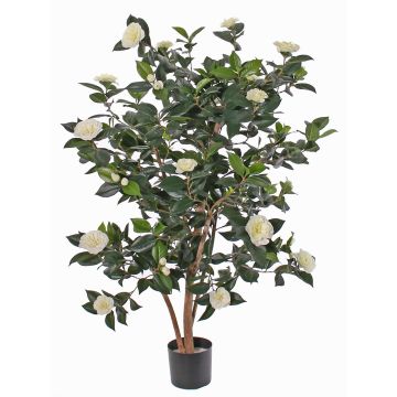 Camelia japonica artificiale SENTA, tronchi veri, fiori, crema, 135cm