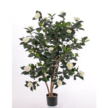 Camelia japonica artificiale SENTA, tronchi veri, fiori, crema, 135cm