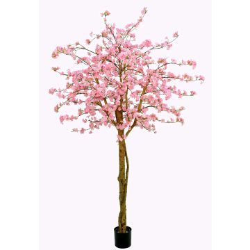 Ciliegio giapponese artificiale TIFFY, tronchi veri, fiori, rosa, 240cm