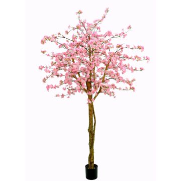 Ciliegio giapponese artificiale TIFFY, tronchi veri, fiori, rosa, 240cm