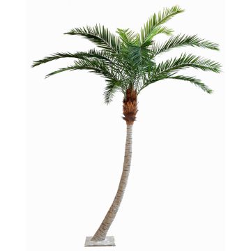 Palma fenice artificiale HARPER, zona trasversale, 340cm