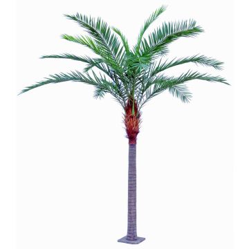 Palma delle canarie artificiale MORLE, zona trasversale, 430cm