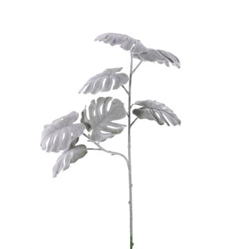 Ramo finto di filodendro Monstera Deliciosa NUBIE, ghiacciato, grigio, 70cm