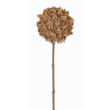Ramo artificiale di anice stellato CATBERT, marrone chiaro, 70cm, Ø10cm