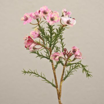 Fiore di cera artificiale AISHA, rosa, 25cm