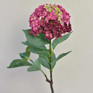Ortensia artificiale EMILIE, fucsia-verde, 60cm