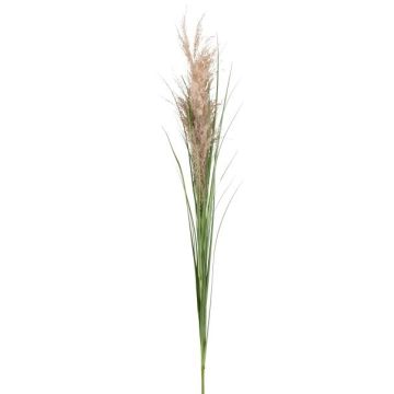 Ramo decorativo canna FROGIL con pannocchie, verde-beige, 135 cm