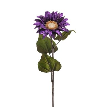Girasole di velluto MAHEALANI, viola scuro-oro, 75 cm
