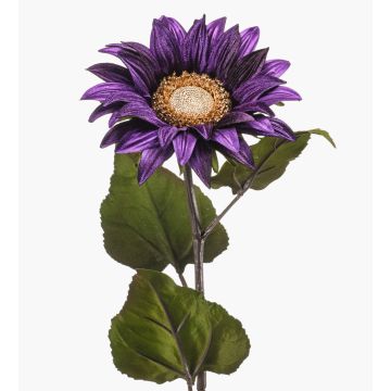 Girasole di velluto MAHEALANI, viola scuro-oro, 75 cm