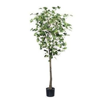 Albero artificiale Ginkgo MERLIM con tronco artificiale, 150 cm